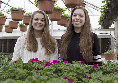 Wenatchee FFA Plant Sale: an Opportunity for the Public, a Horticultural and Business Learning Experience for the Students