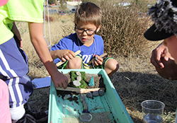 Students experiment in soil erosion